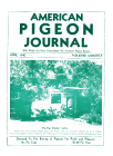 Magazine Cover